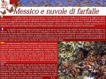 aprile nuvole di farfalle
