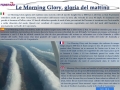 febbraio_le-morning-glory