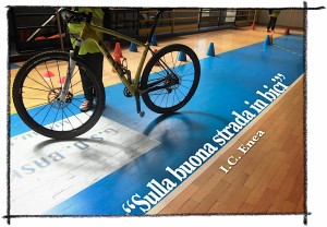 bicicletta_ok